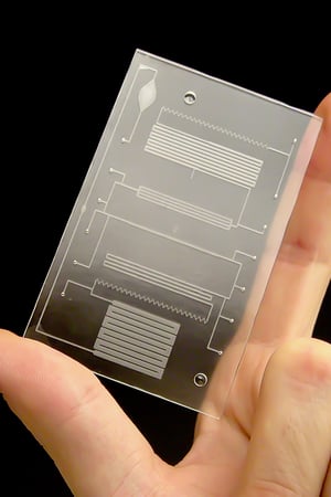 CAPTION: © Fraunhofer USA ## Integrated, biological diagnostics on a molecular level.