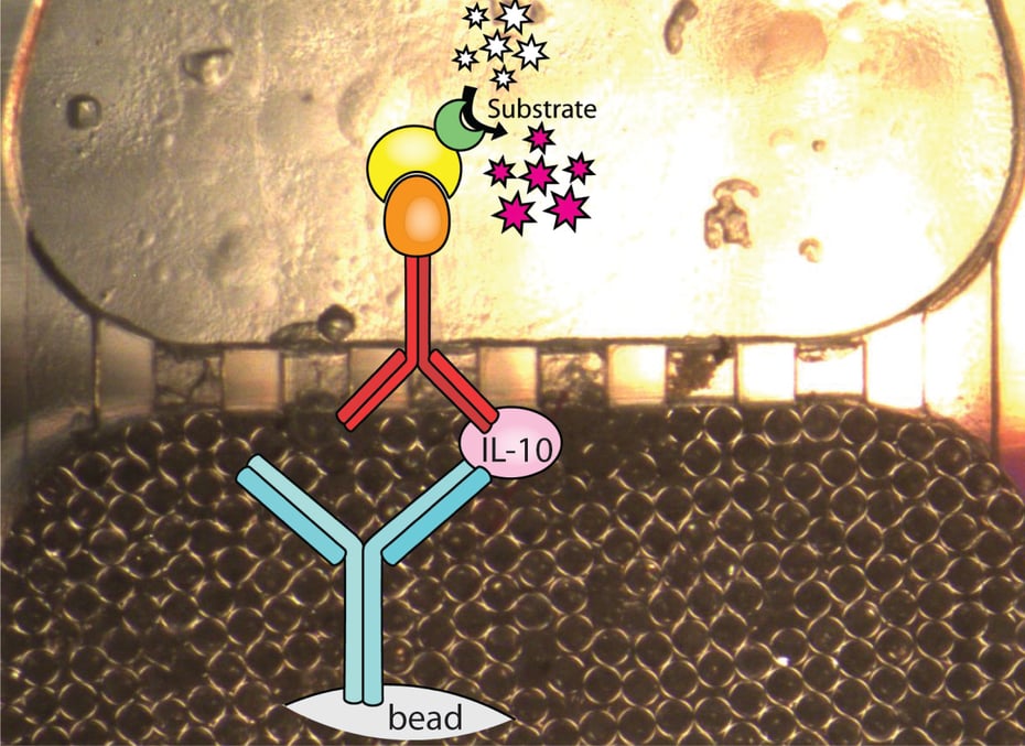 In Vitro Diagnostics Projects