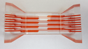 CAPTION: © Fraunhofer USA ## Top view of microfluidic chip.