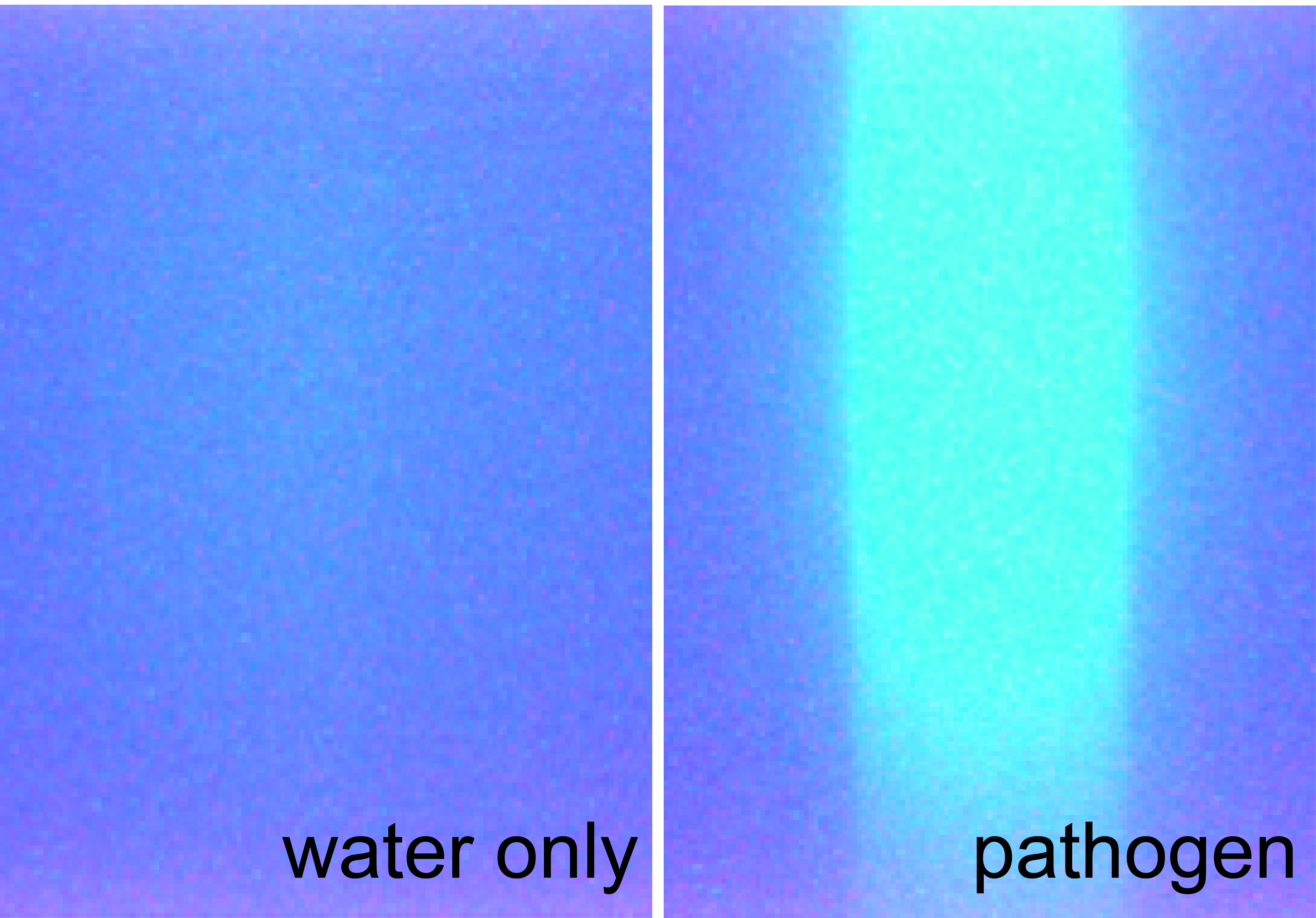 Fraunhofer-CMI-qRT-PCR-1522443503702